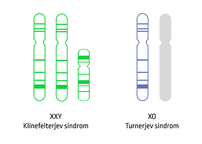 Informacije o motnjah kromosomov X / Y